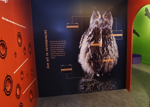 natuurmuseum tentoonstelling